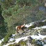 2 Pieces, Proche Thermes Et Pistes, Wifi Inclus - Fr-1-234-118 Cauterets