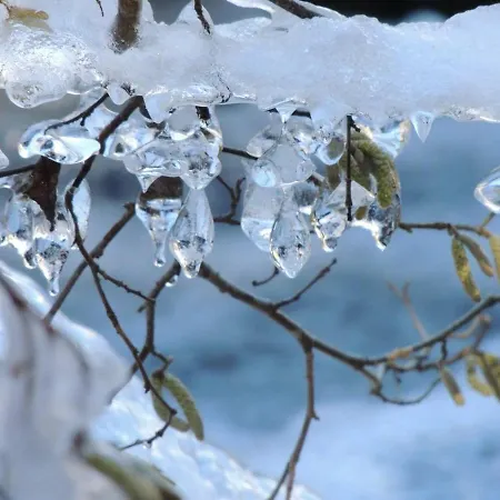 アパート 2 Pieces, Proche Thermes Et Pistes, Wifi Inclus - Fr-1-234-118 コテレ