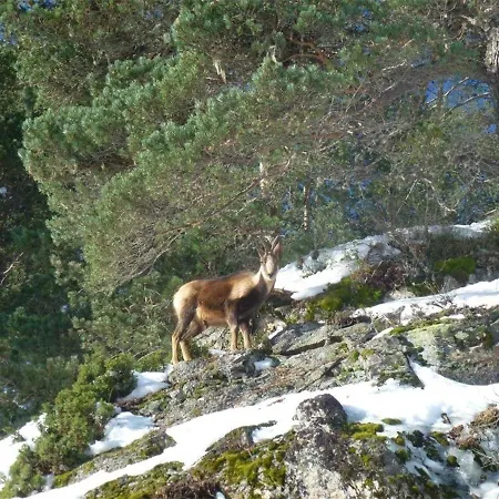 2 Pieces, Proche Thermes Et Pistes, Wifi Inclus - Fr-1-234-118 コテレ