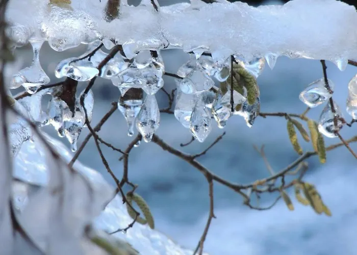 Apartment Cauterets: 2 Ch, 8 Pers, Wifi&parking - Fr-1-234-89 Cauterets